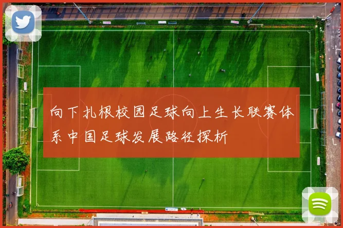 向下扎根校园足球向上生长联赛体系中国足球发展路径探析