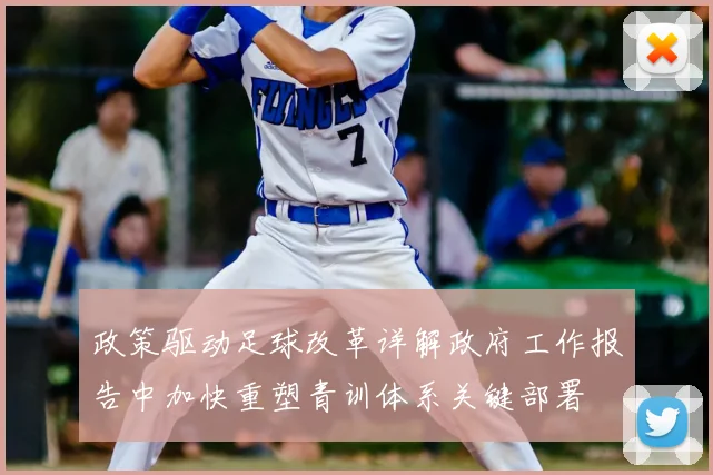政策驱动足球改革详解政府工作报告中加快重塑青训体系关键部署