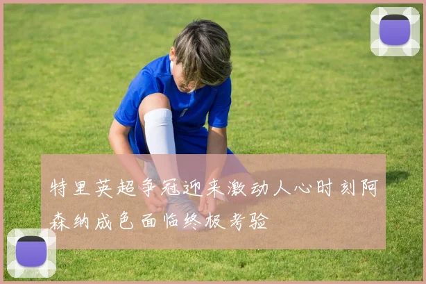 特里英超争冠迎来激动人心时刻阿森纳成色面临终极考验