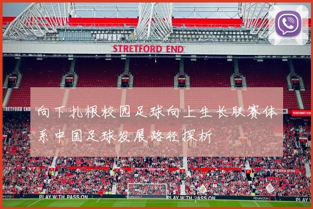 向下扎根校园足球向上生长联赛体系中国足球发展路径探析